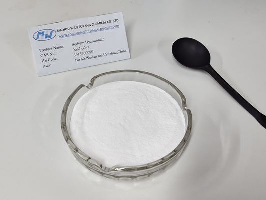 높은 가공량 백색 가루 수분화 나트륨 히알루나이트 눈 CAS 9067 32 7